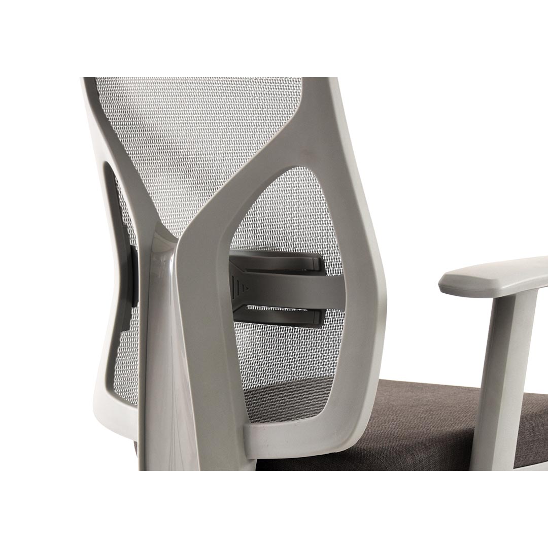 Korus gris - Imagen 2