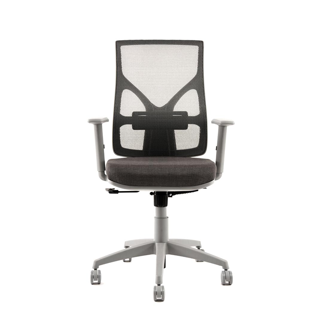 Korus gris - Imagen 6